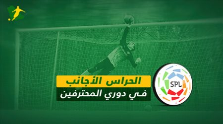 الحراس الأجانب في دوري المحترفين