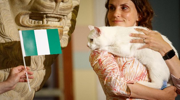 عيش المونديال| القط أخيل يطيح بأحلام ميسي بتوقع فوز نيجيريا على الأرجنتين