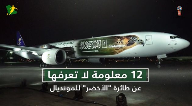 فيديو جرافيك| 12 معلومة لا تعرفها عن طائرة الأخضر