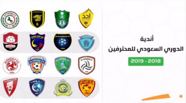 بعد انتهاء الملحق| 16 فريقا و240 مباراة.. في دوري المحترفين 2018-19