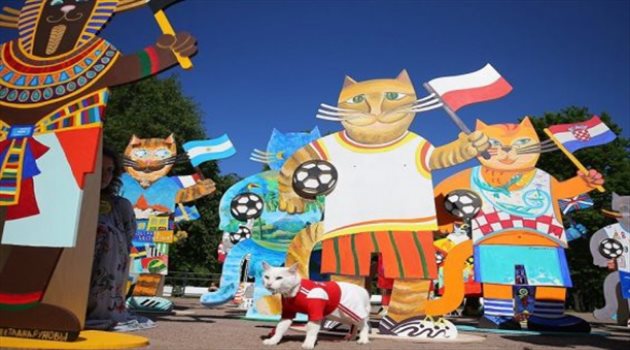 تقرير| بول.. وهيد وآخيل.. حكاية "حديقة الحيوانات مع كأس العالم"