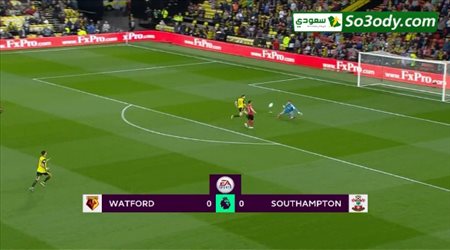 مهاجم ساوثهامبتون يسجل أسرع هدف في تاريخ الدوري الإنجليزي