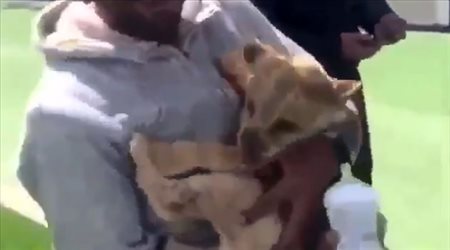 جوميز لرئيس الهلال: أنت الأفضل