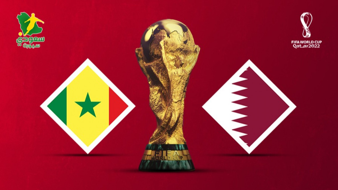 قطر والسنغال كأس العالم