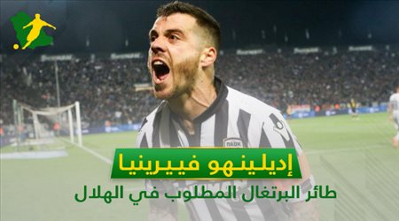 7 معلومات عن طائر البرتغال المطلوب في الهلال