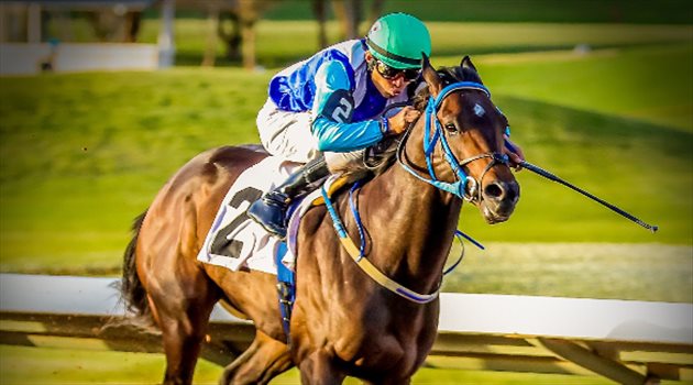 فيديو.. المملكة تستضيف أغلى سباق خيول في العالم