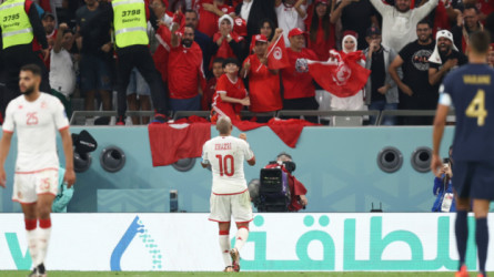 مشجع يقتحم لقاء تونس وفرنسا بـعلم فلسطين.. ورد مثير من الجماهير