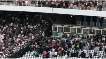  مولودية الجزائر
