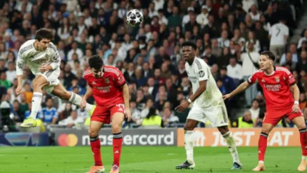 فيديو| شاهد أهداف مباراة ريال مدريد وبنفيكا المثيرة في دوري أبطال أوروبا