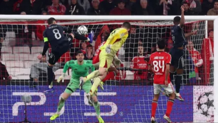 فيديو.. احتفال تيبو كورتوا مع حارس بنفيكا يشعل ثورة غضب جماهير ريال مدريد