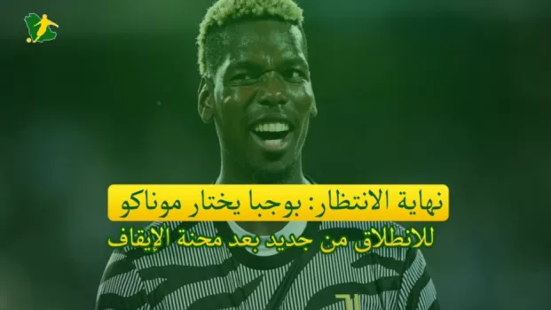 بوجبا بوجبا