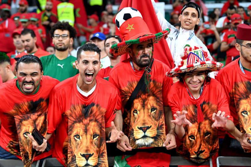 أسود المغرب