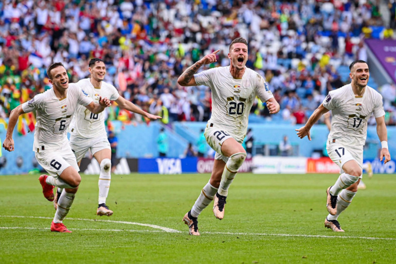 احتفال سافيتش لاعب المنتخب الصربي بتسجيل هدف في مرمى الكاميرون