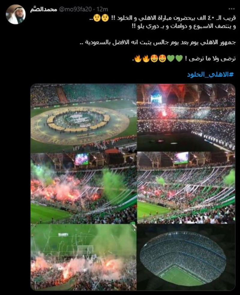 الأهلي الأهلي