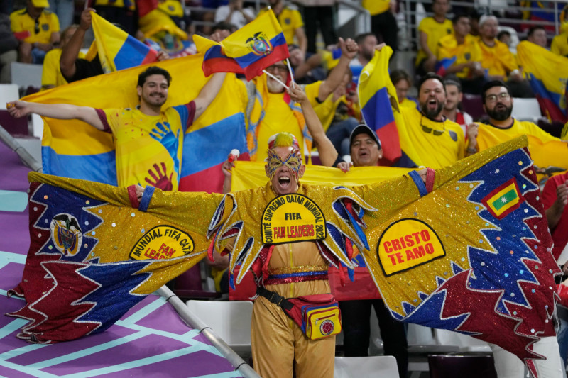 الجمهور الإكوادوري خلال مواجهة السنغال الجمهور الإكوادوري خلال مواجهة السنغال