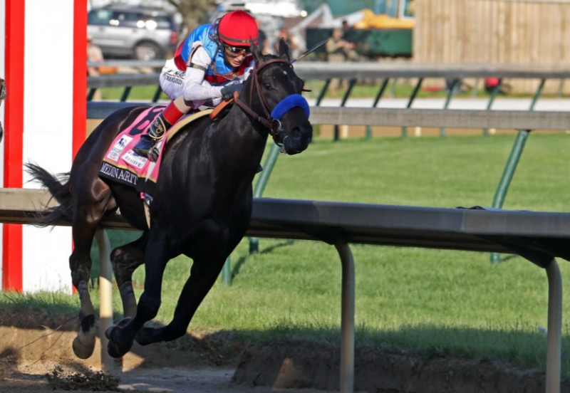 الفروسية الفروسية