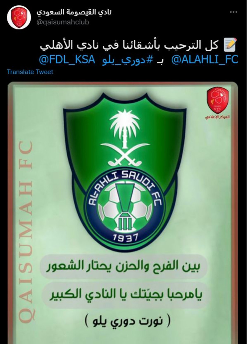 القيصومة القيصومة