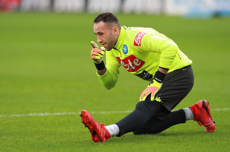 دافيد أوسبينا دافيد أوسبينا