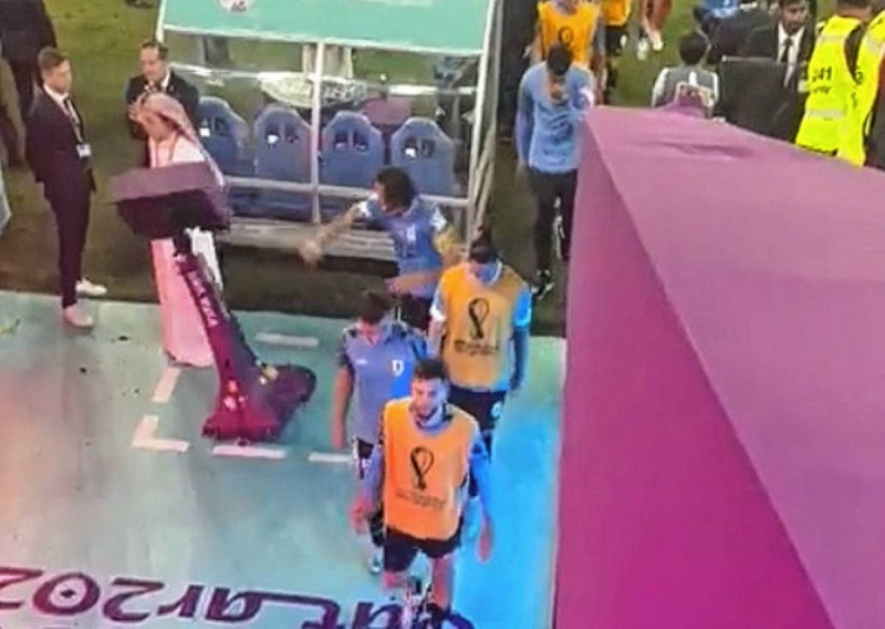 كافاني وشاشة الفار