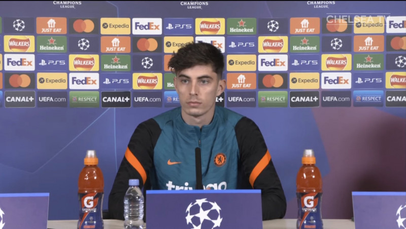 كافي هافريتز