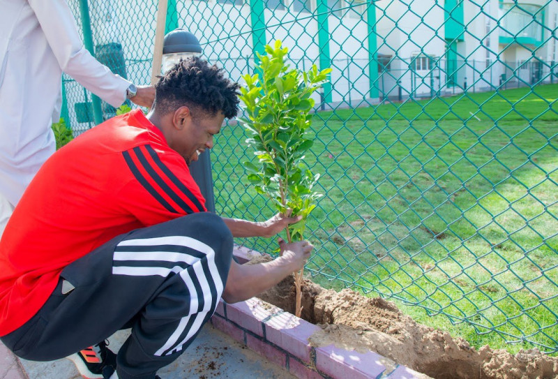 مبادرة التشجير