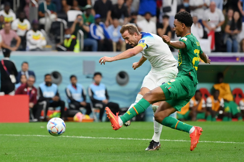 هاري كين هاري كين