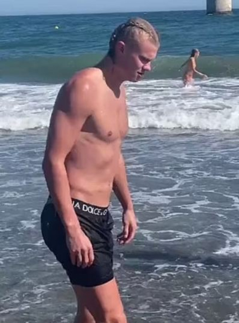 هالاند هالاند