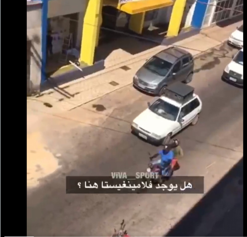 جماهير فلامنجو