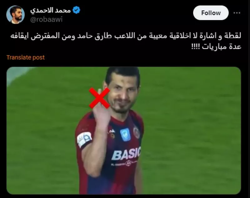 طارق حامد طارق حامد