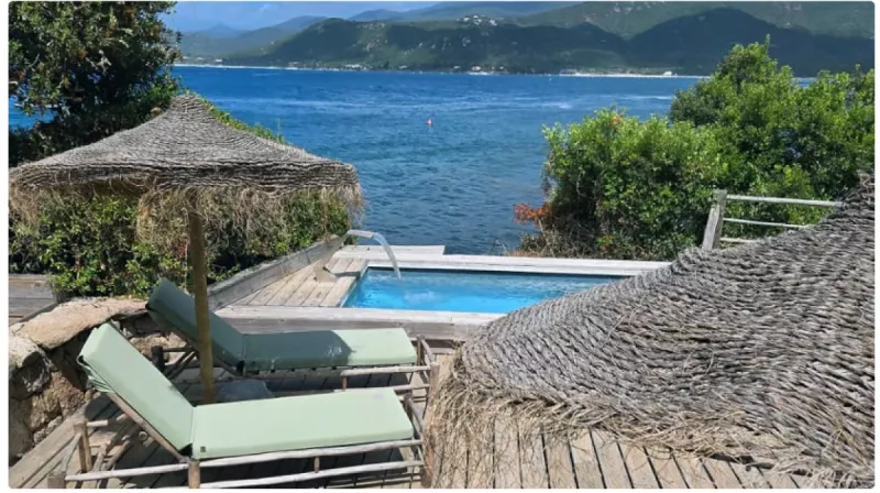 حفل زفاف كريم بنزيما حفل زفاف كريم بنزيما