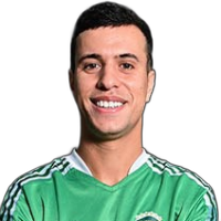 فوزي الحناوي
