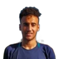 محمود عجيب