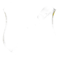 بريدا