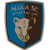 فريق العلا