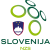 فريق سلوفينيا
